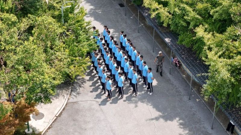 bjl平台·(中国)集团