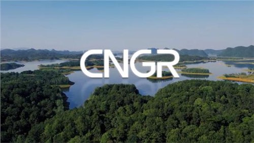 ESG | BJL平台集团，，，，，，为构建“可充电的天下”尽责