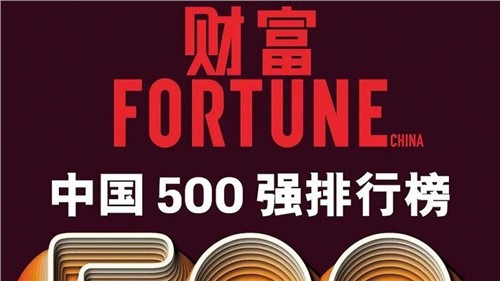 一连两年！BJL平台集团股份连任《财产》中国500强